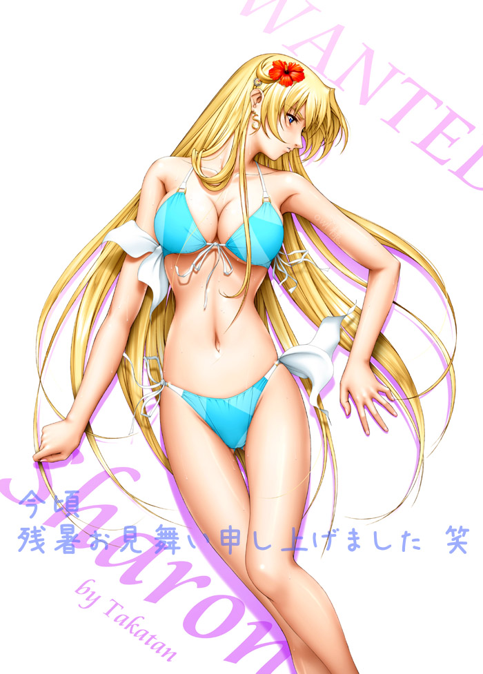 Takatanさんから頂いた暑中見舞いCG2011