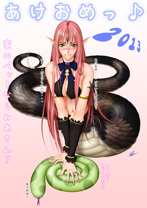 Takatanさんから頂いた年賀CG2013